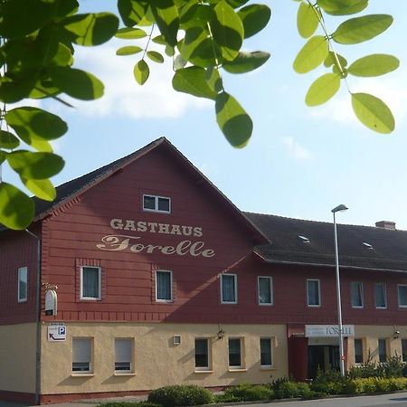 Gasthaus Forelle Hotell Thale Eksteriør bilde