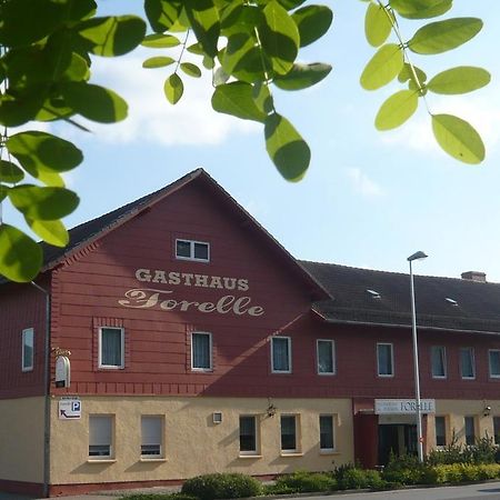 Gasthaus Forelle Thale Eksteriør bilde